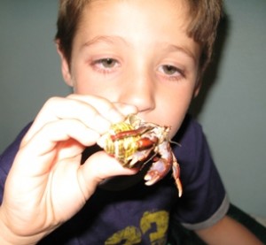 Aiden shows his crabby friend, "Meany-me"