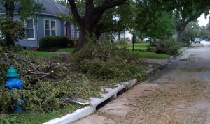 Tree limbs and litter lined up Monday for city pickup.