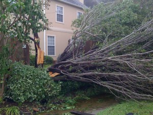 A common sight in the wake of Ike