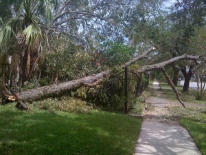 Three days after Ike, scenes like this were common.